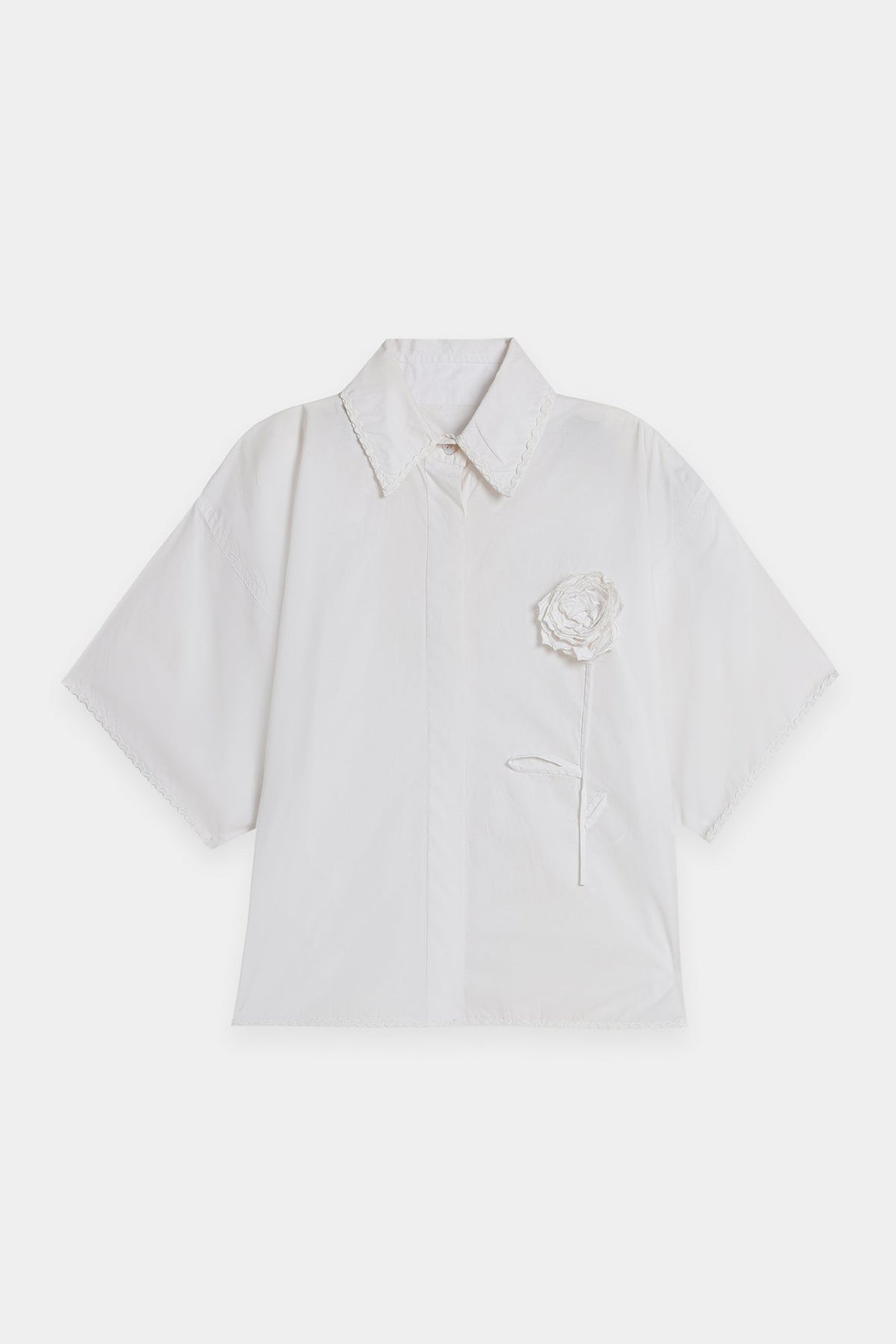 TOP (E0008/120/001)