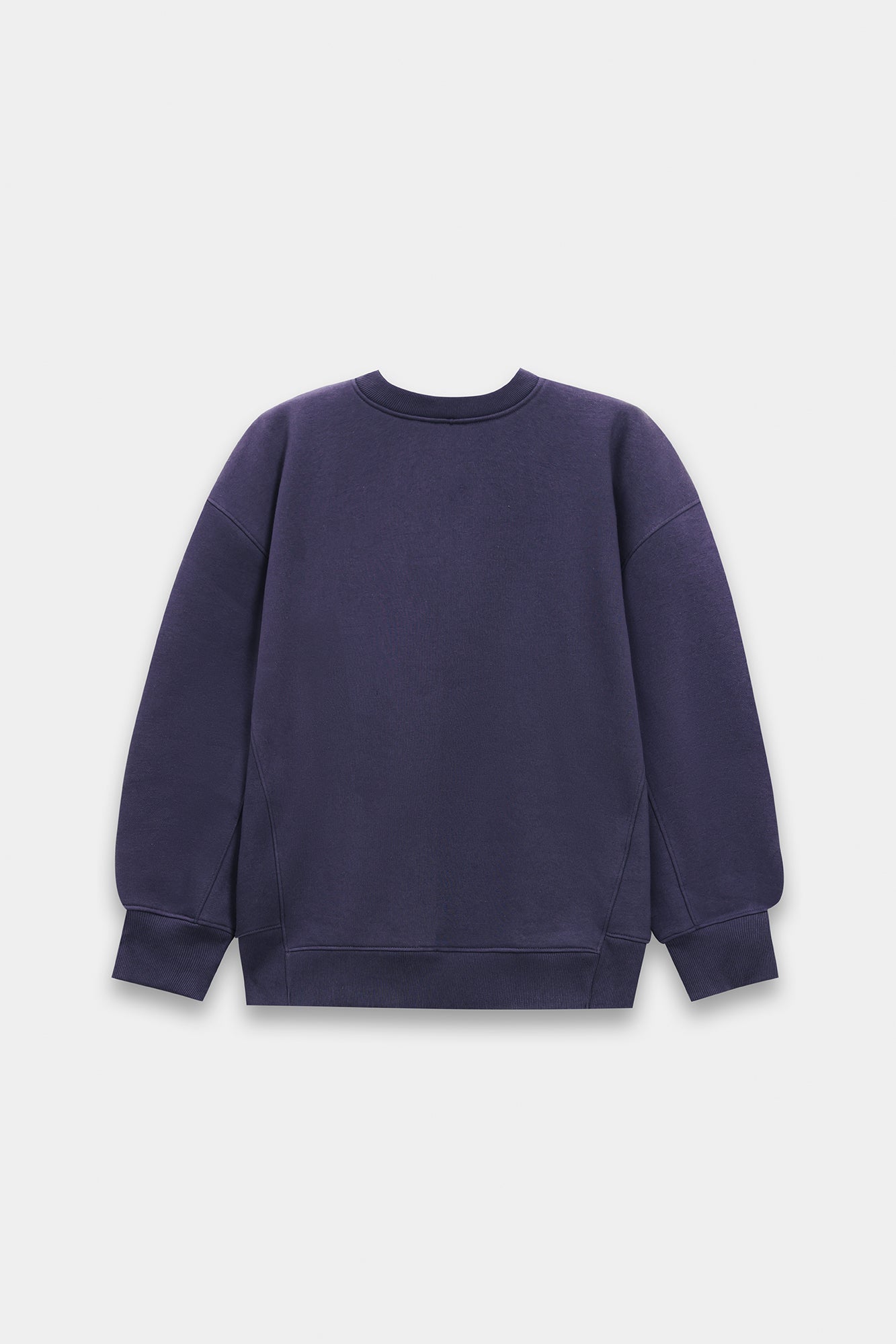 SWEATSHIRT (E0172/120/619)