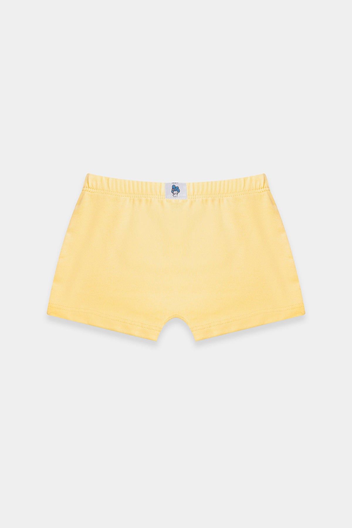BRIEFS (E0415/411/998)