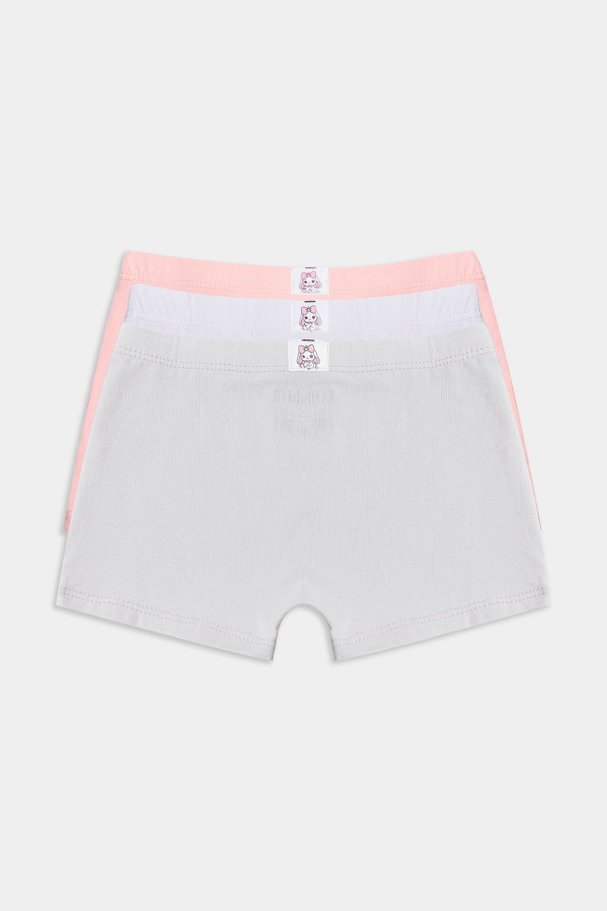 BRIEFS (E0420/411/998)