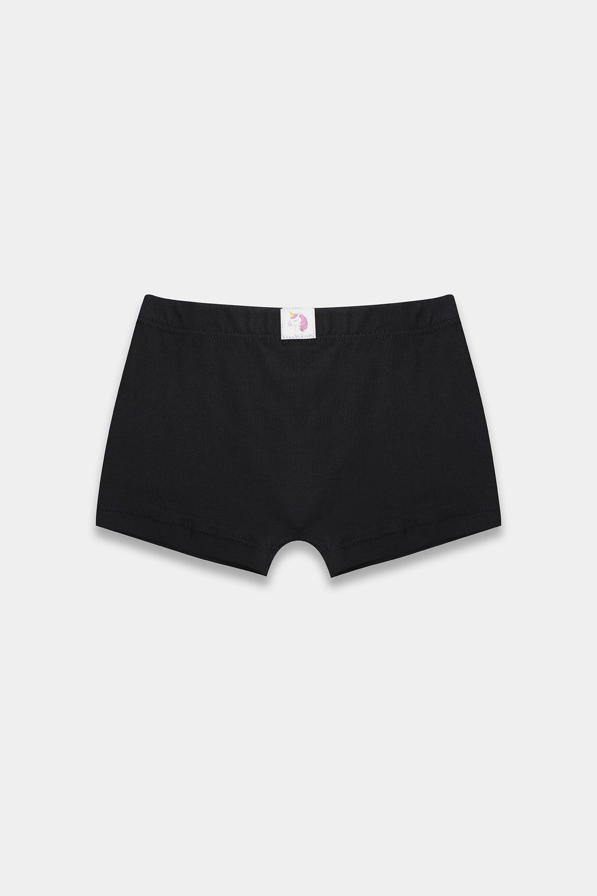BRIEFS (E0421/411/998)