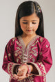 EMBROIDERED SUIT (E0904/404/517 E0904/304/517)