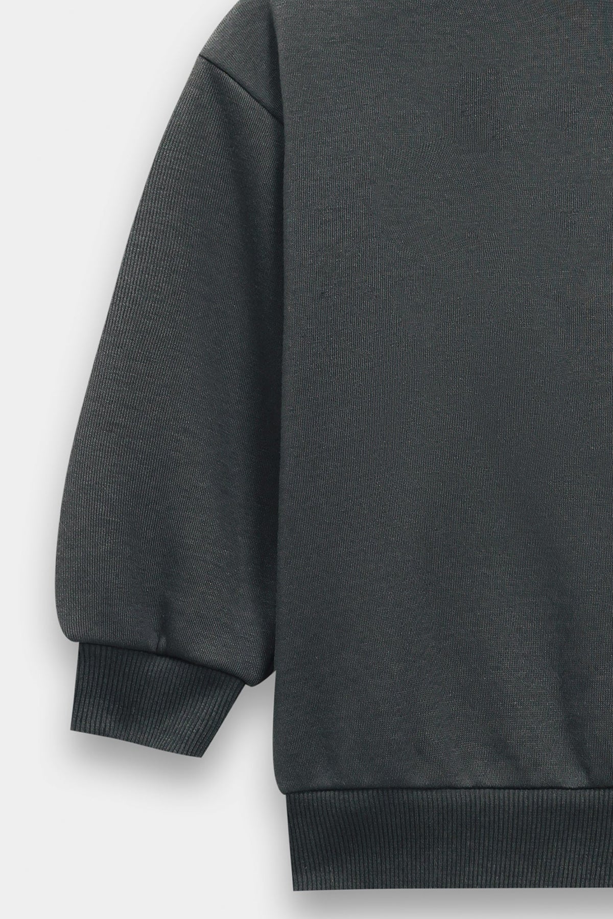 SWEATSHIRT (E1811/301/904)