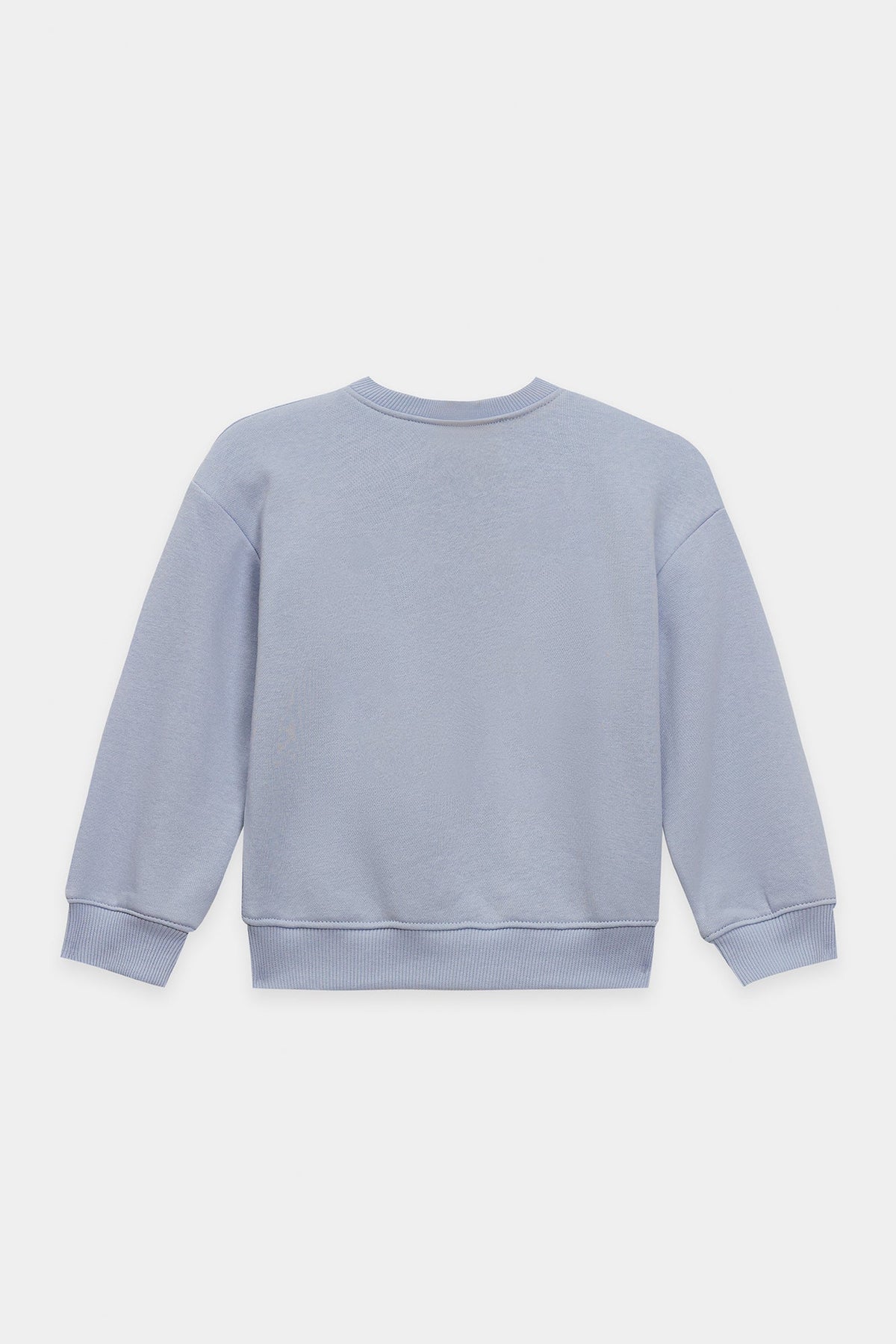 SWEAT SHIRT (E1932/301/635)