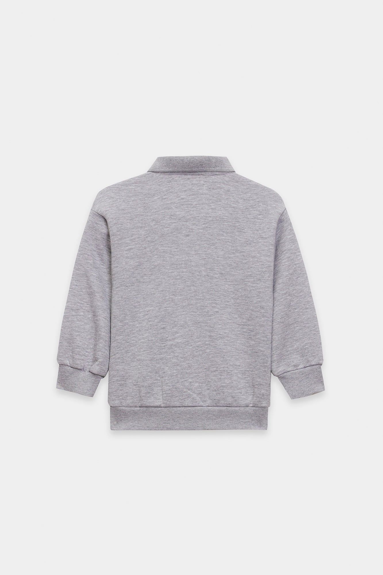 SWEATSHIRT (E1937/301/915)