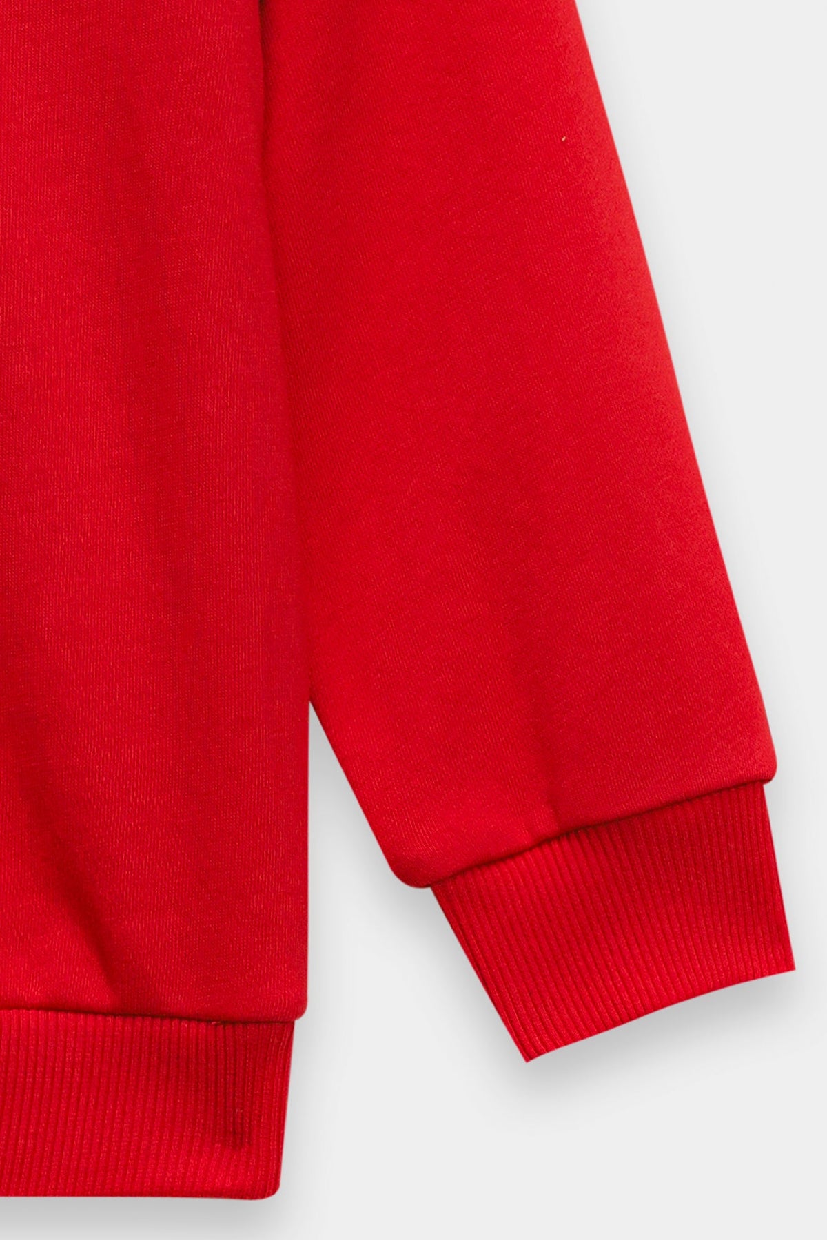 SWEATSHIRT (E1938/301/309)