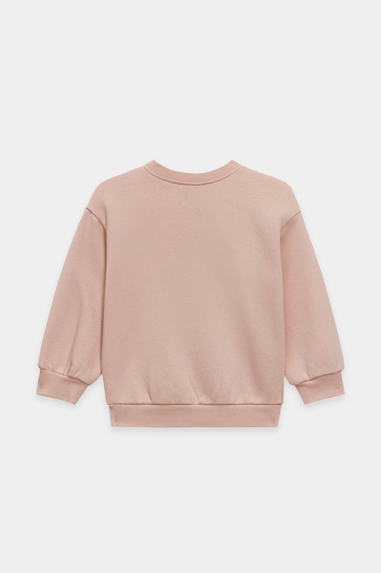 SWEATSHIRT (E1942/301/329)