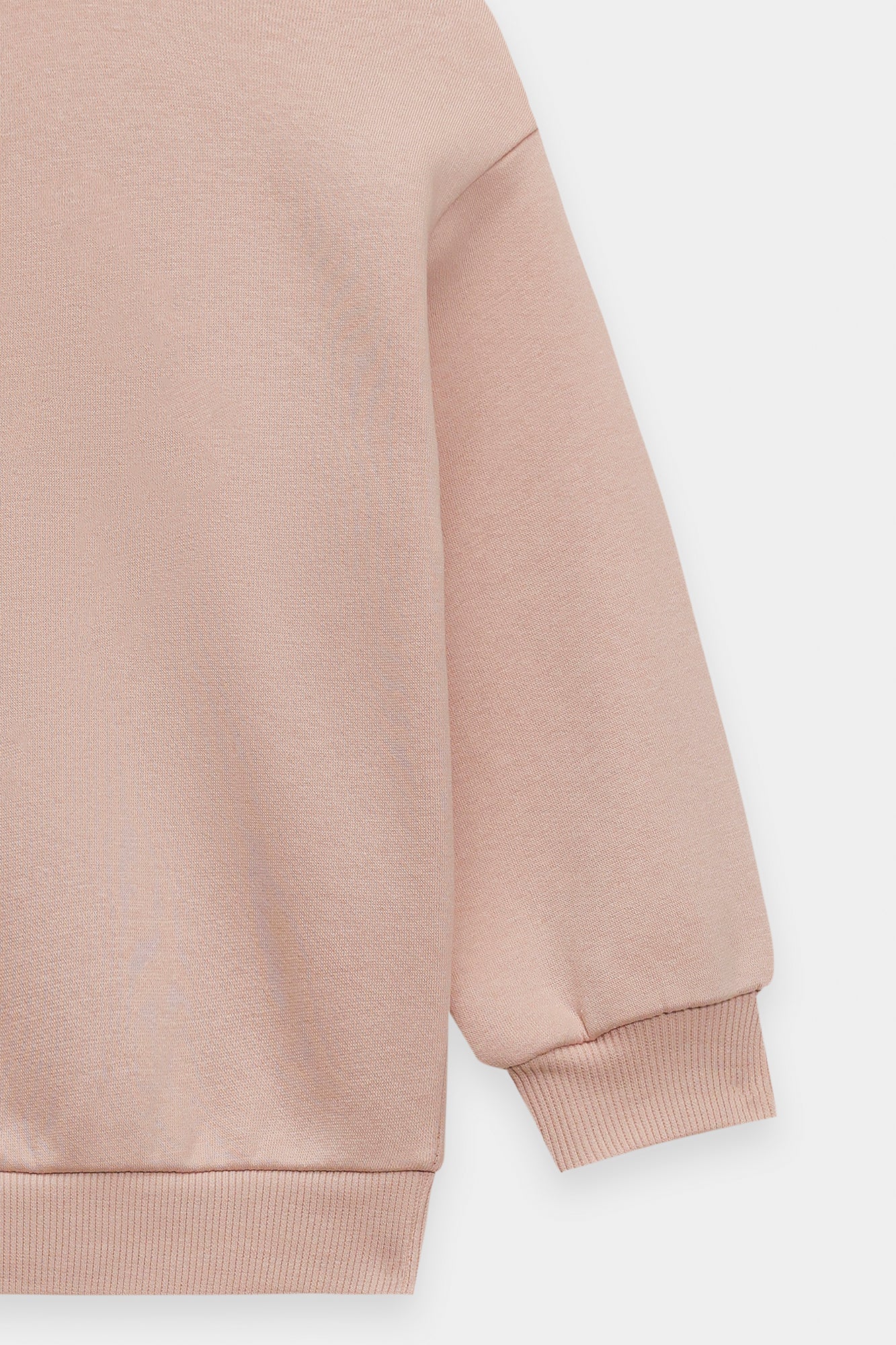 SWEATSHIRT (E1942/301/329)