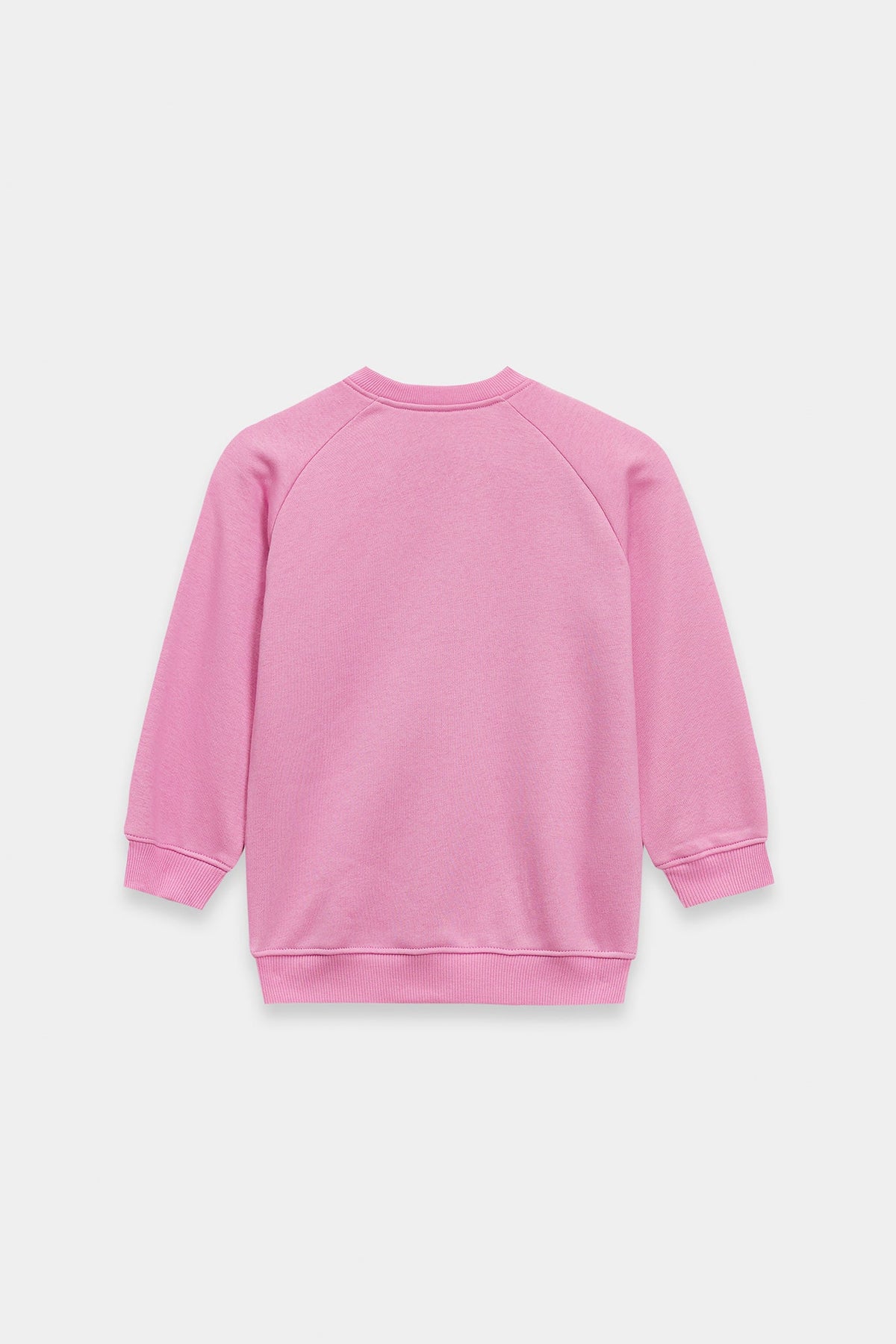 SWEATSHIRT (E1946/301/529)