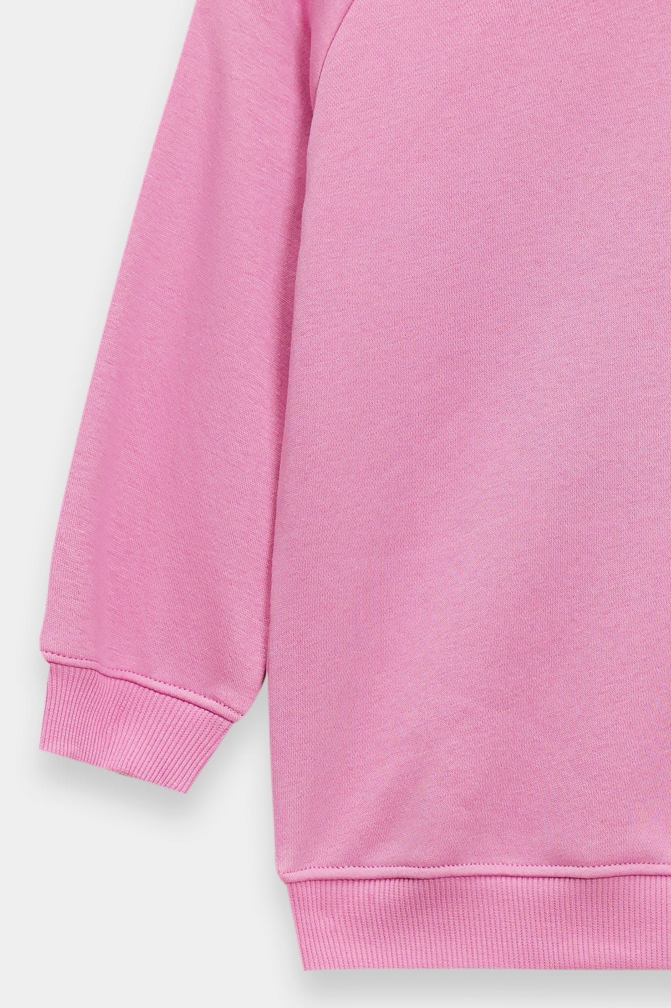 SWEATSHIRT (E1946/301/529)