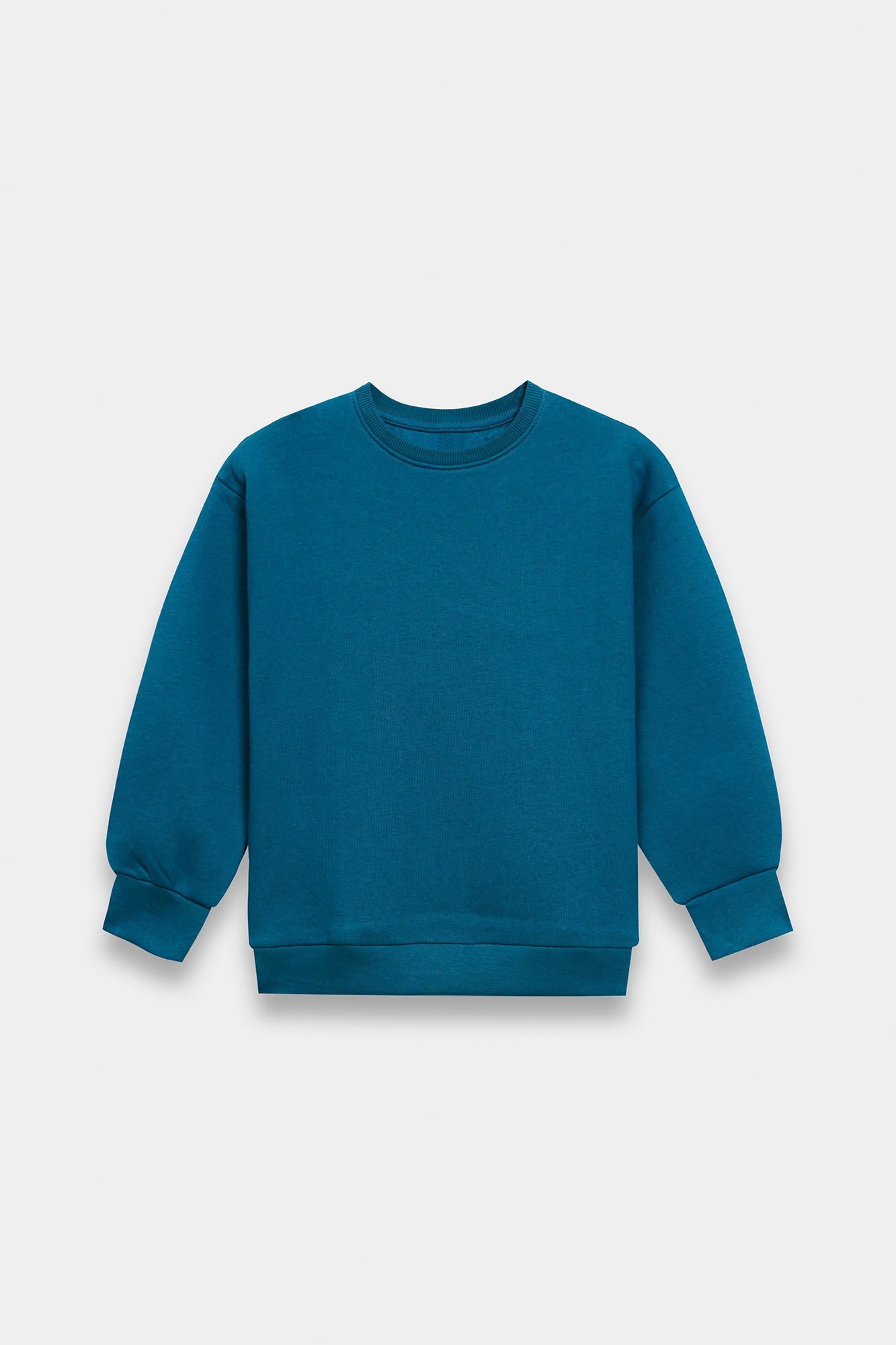 SWEAT SHIRT (E1953/401/711)