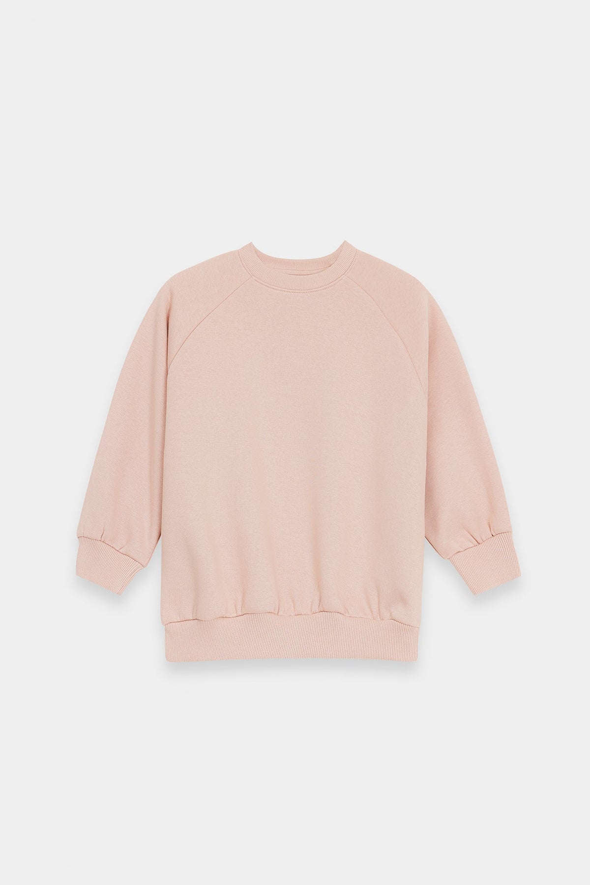 SWEAT SHIRT (E1954/401/329)