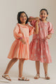 DRESS (E2084/301/326)