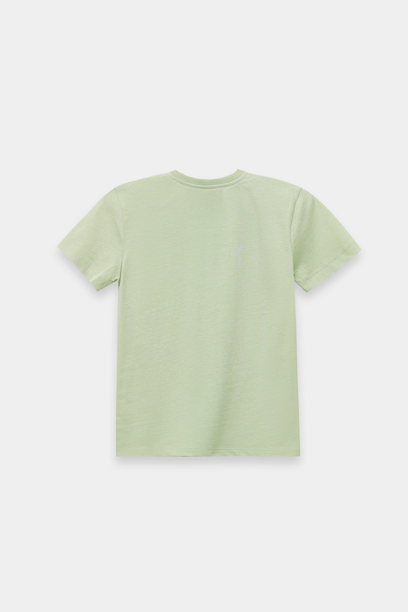T-SHIRT (E2219/401/129)