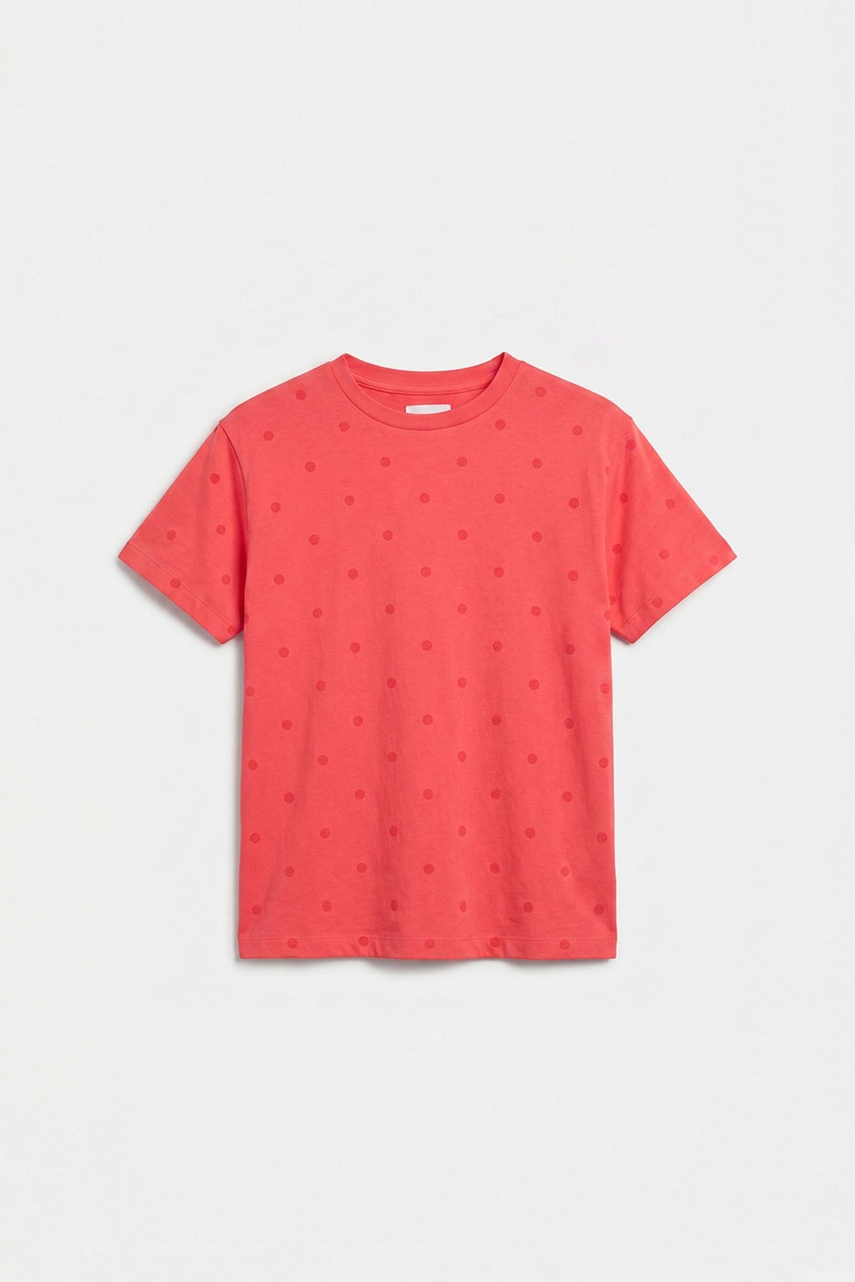 T-SHIRT (E2227/401/422)