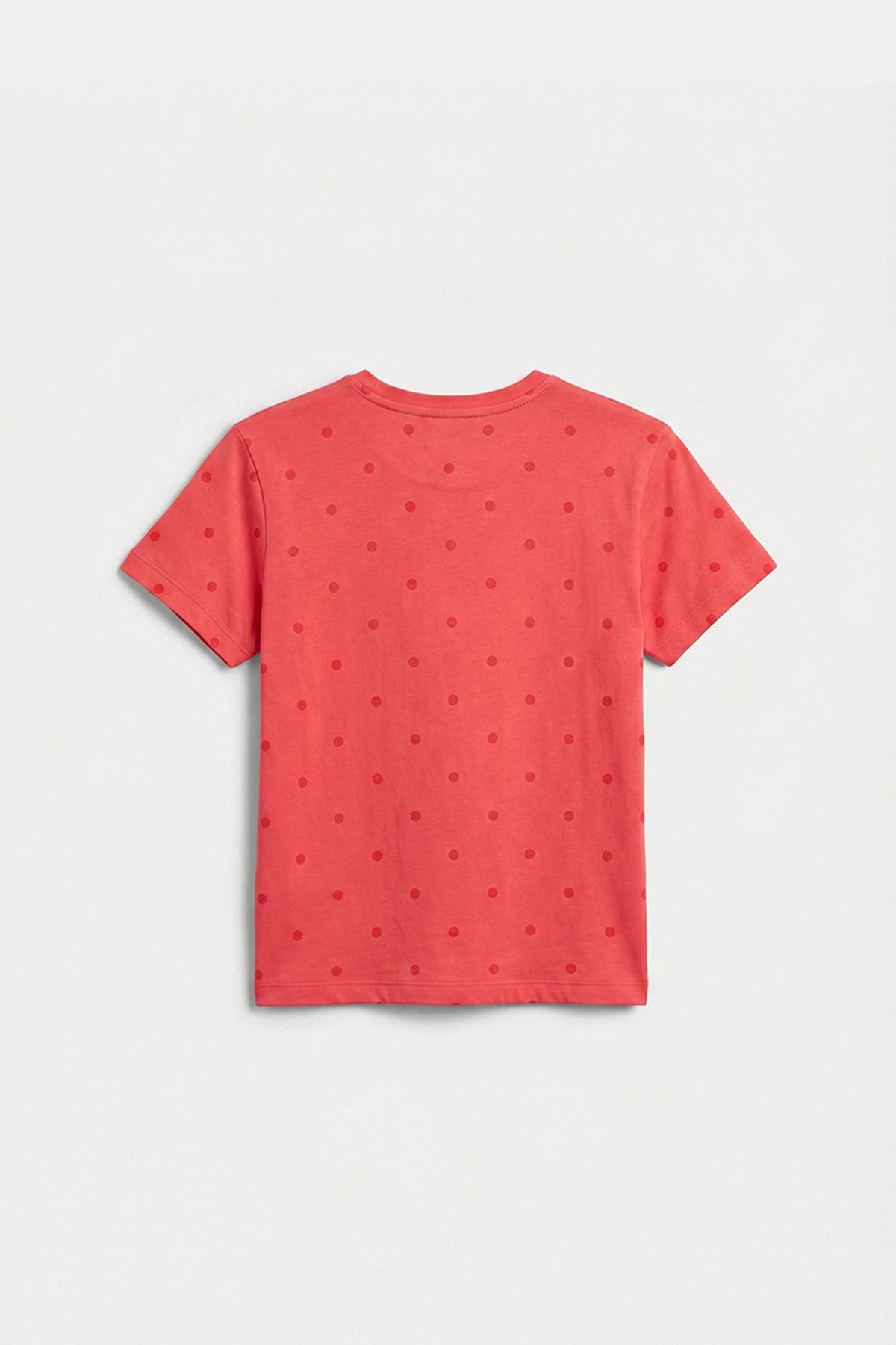 T-SHIRT (E2227/401/422)
