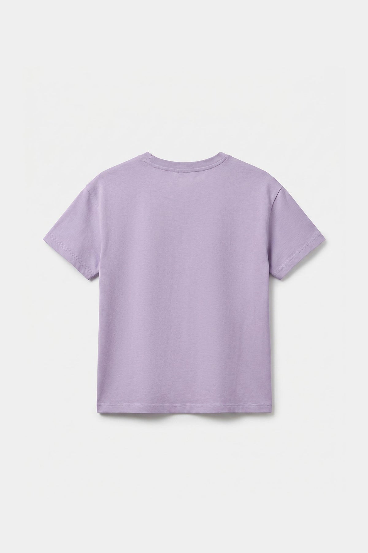 T-SHIRT (E2234/301/530)