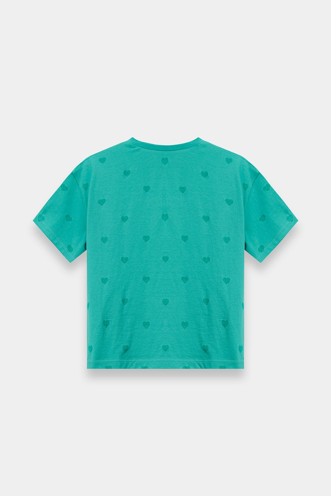 T-SHIRT (E2253/301/129)