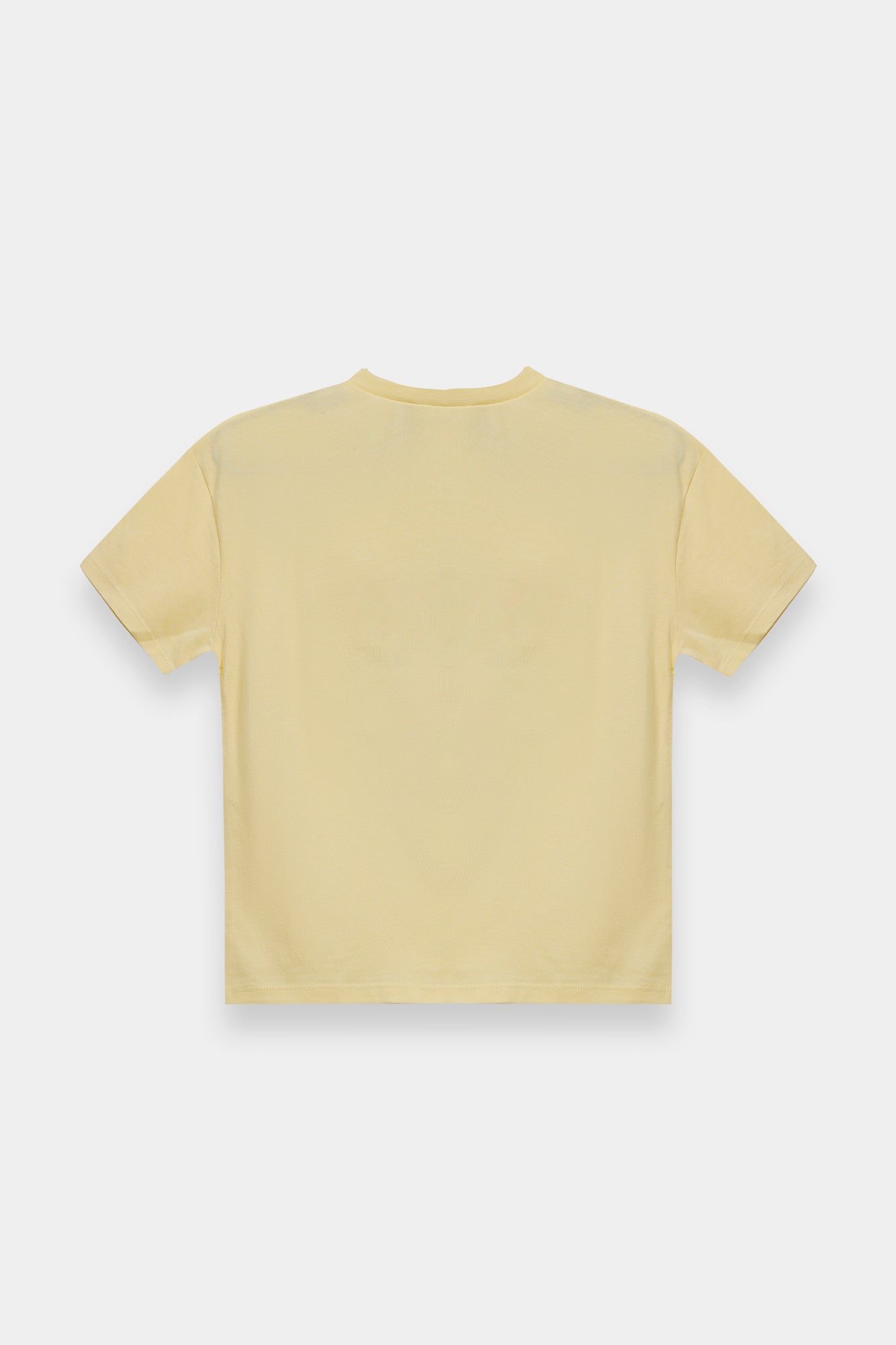 T-SHIRT (E2262/301/005)