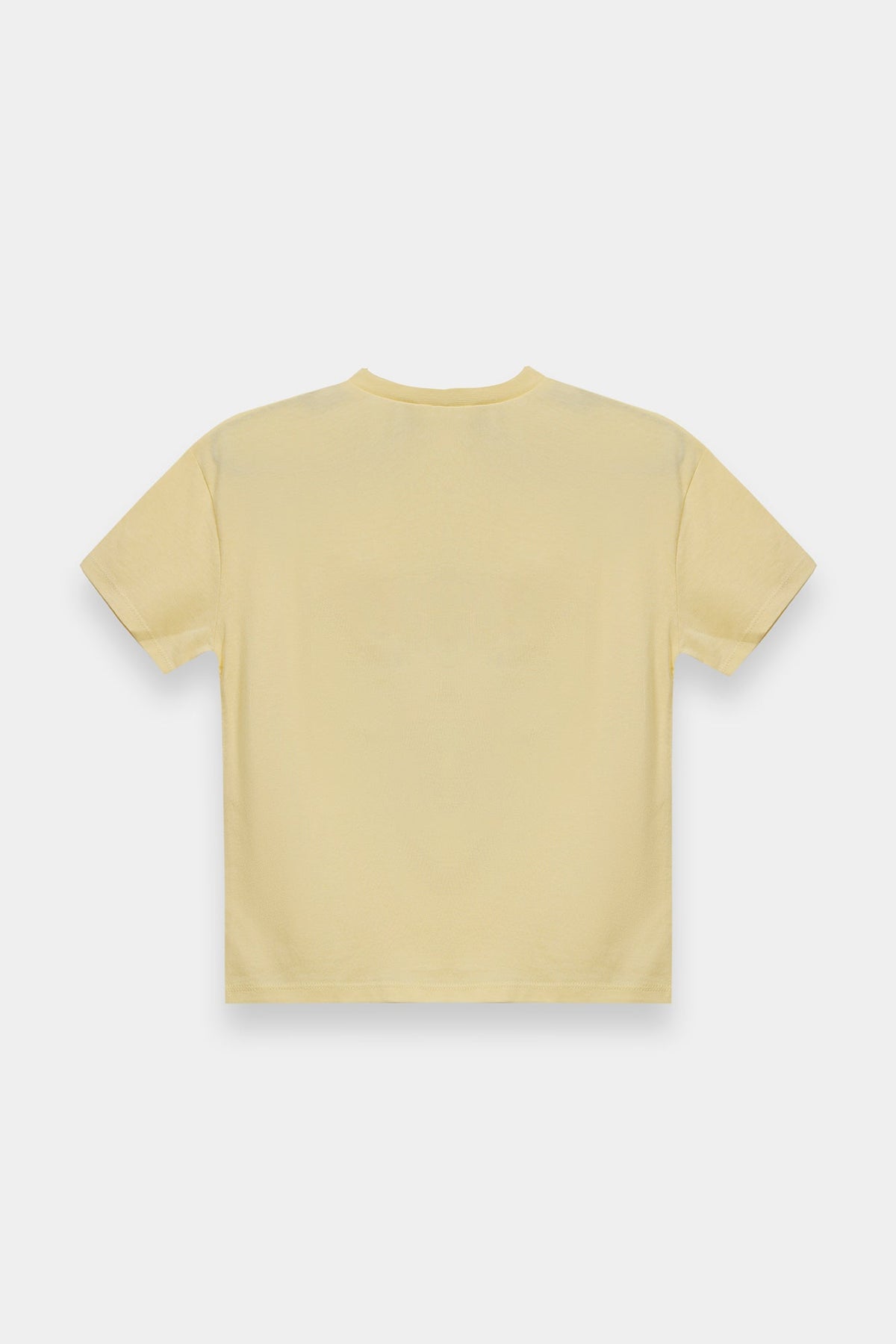 T-SHIRT (E2262/301/005)