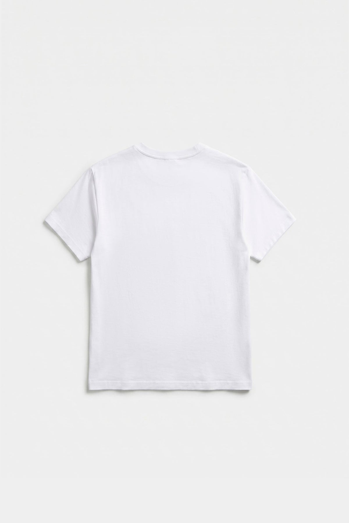 T-SHIRT (E2272/301/001)