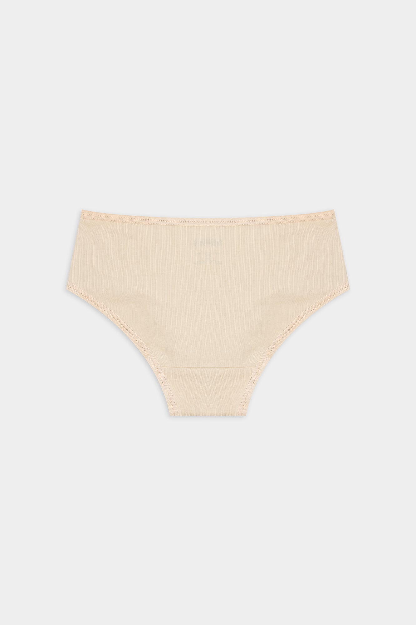 BRIEFS (E2459/411/999)