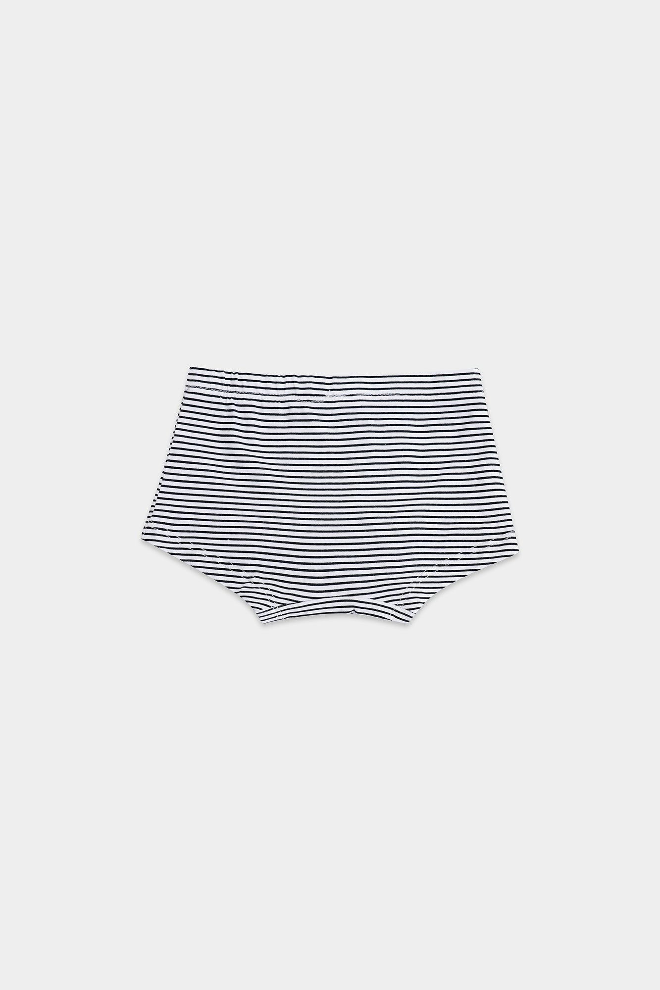 BRIEFS (E2517/411/999)