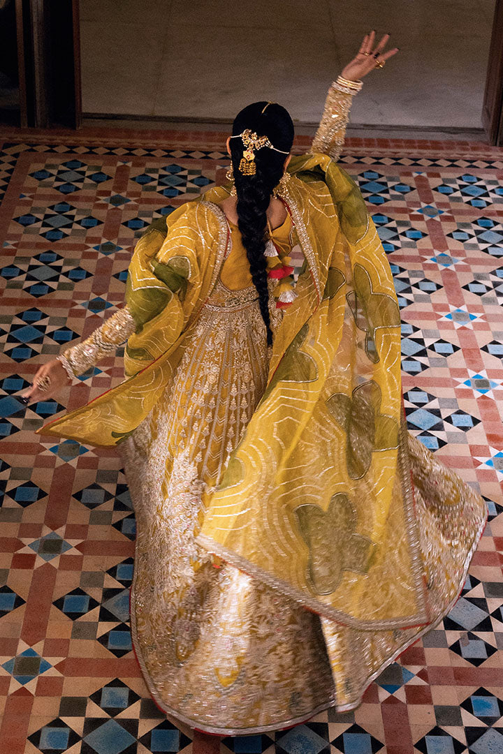 Suraj Mukhi