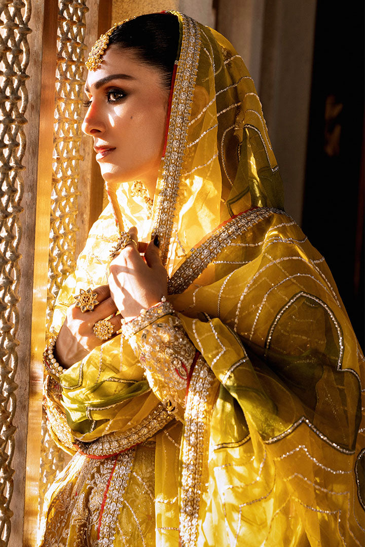 Suraj Mukhi