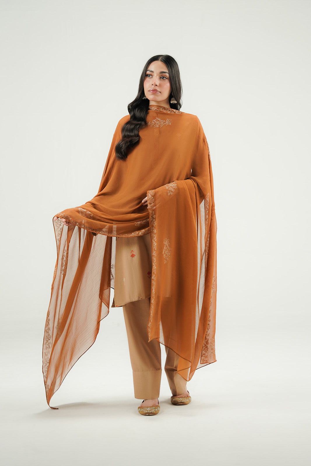1 Piece Chiffon Embroidered Dupatta (FD0153)