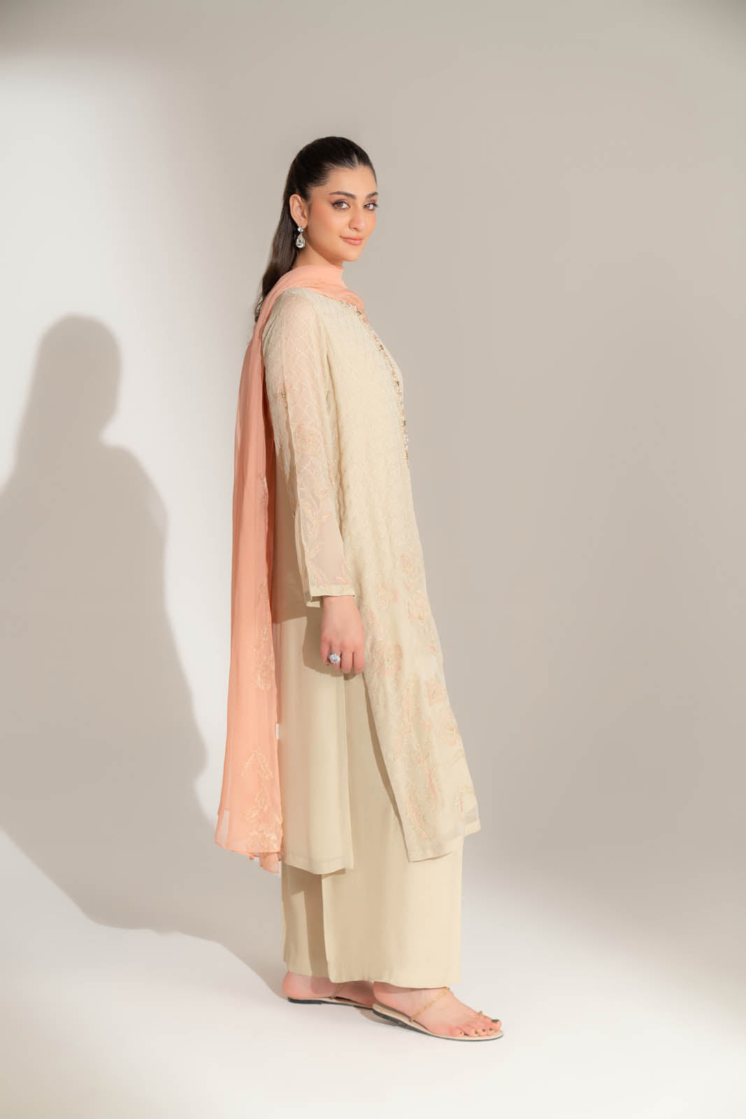 3 Piece Chiffon Embroidered Suit (FL0145)