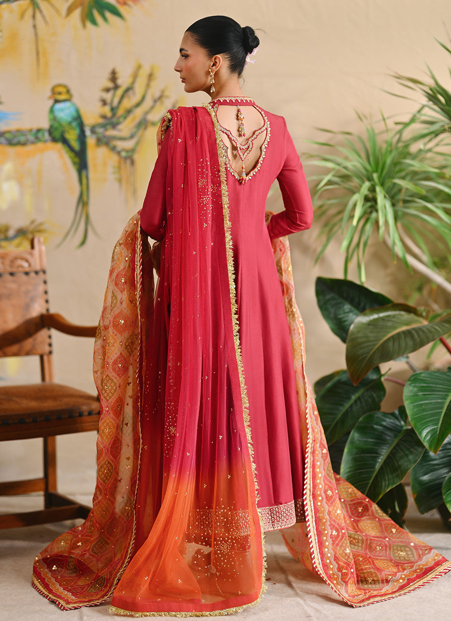 Amrita Kalidaar And Dupatta