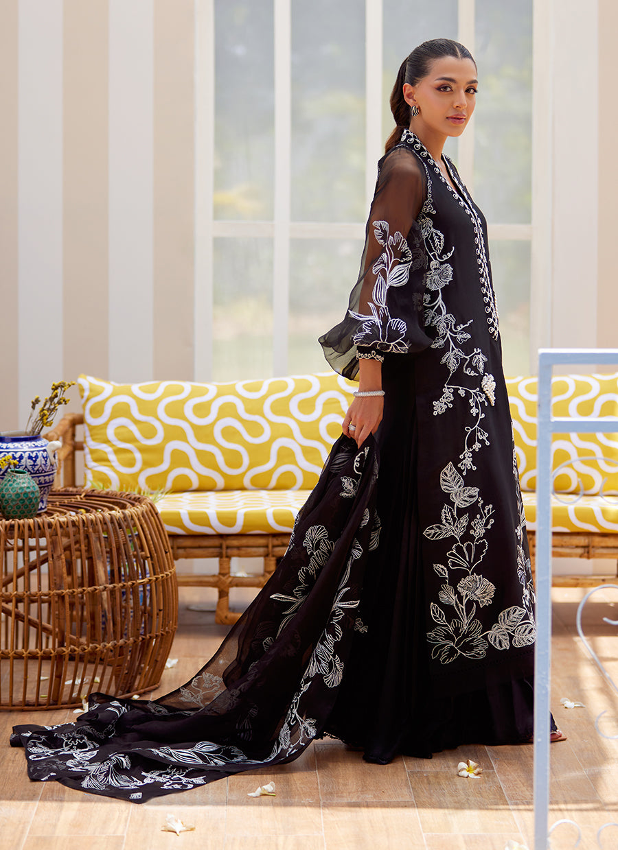 Reina Ebony Shirt and Dupatta