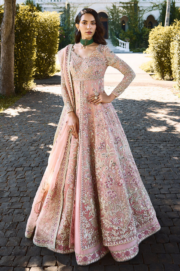Florencea Style — Mairaz Pink Organza Suit
