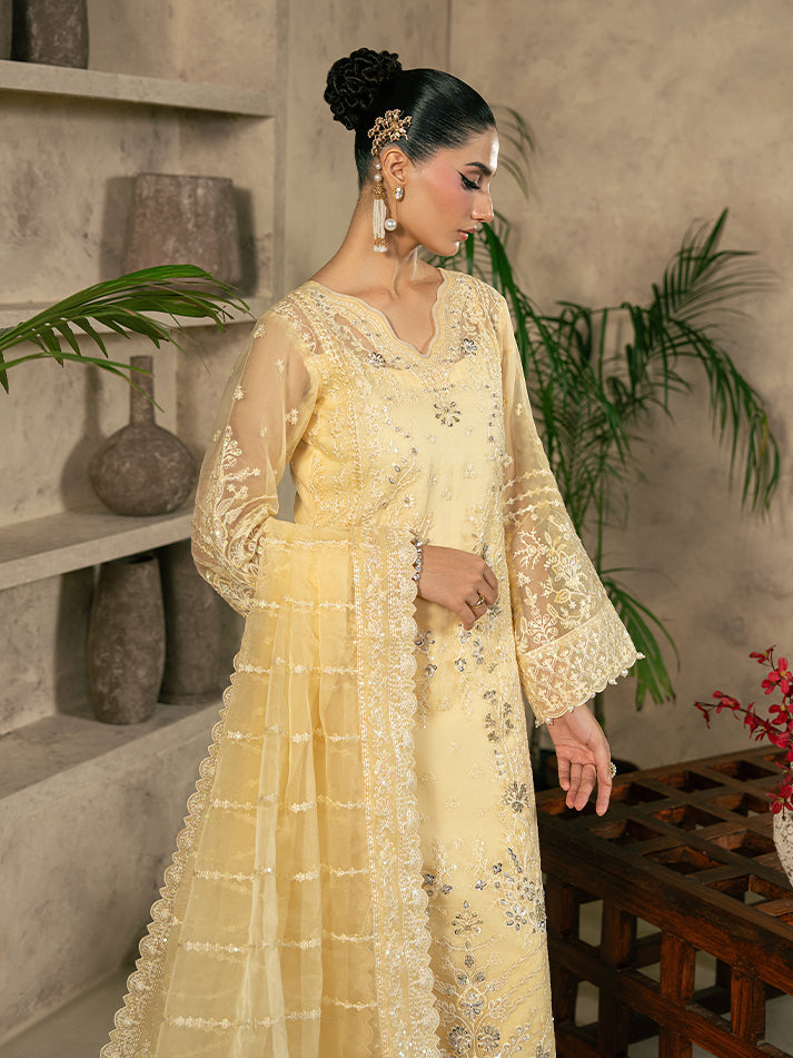 Gulaal – Aureva Style