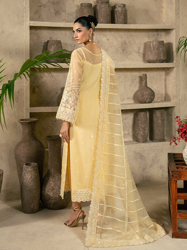 Gulaal – Aureva Style