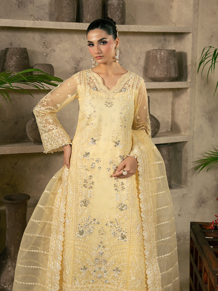Gulaal – Aureva Style