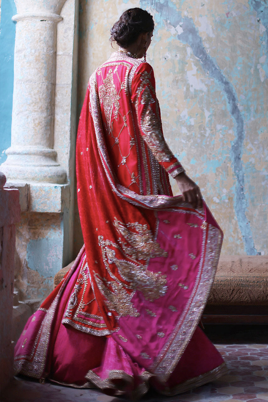Gul-E-Nargis