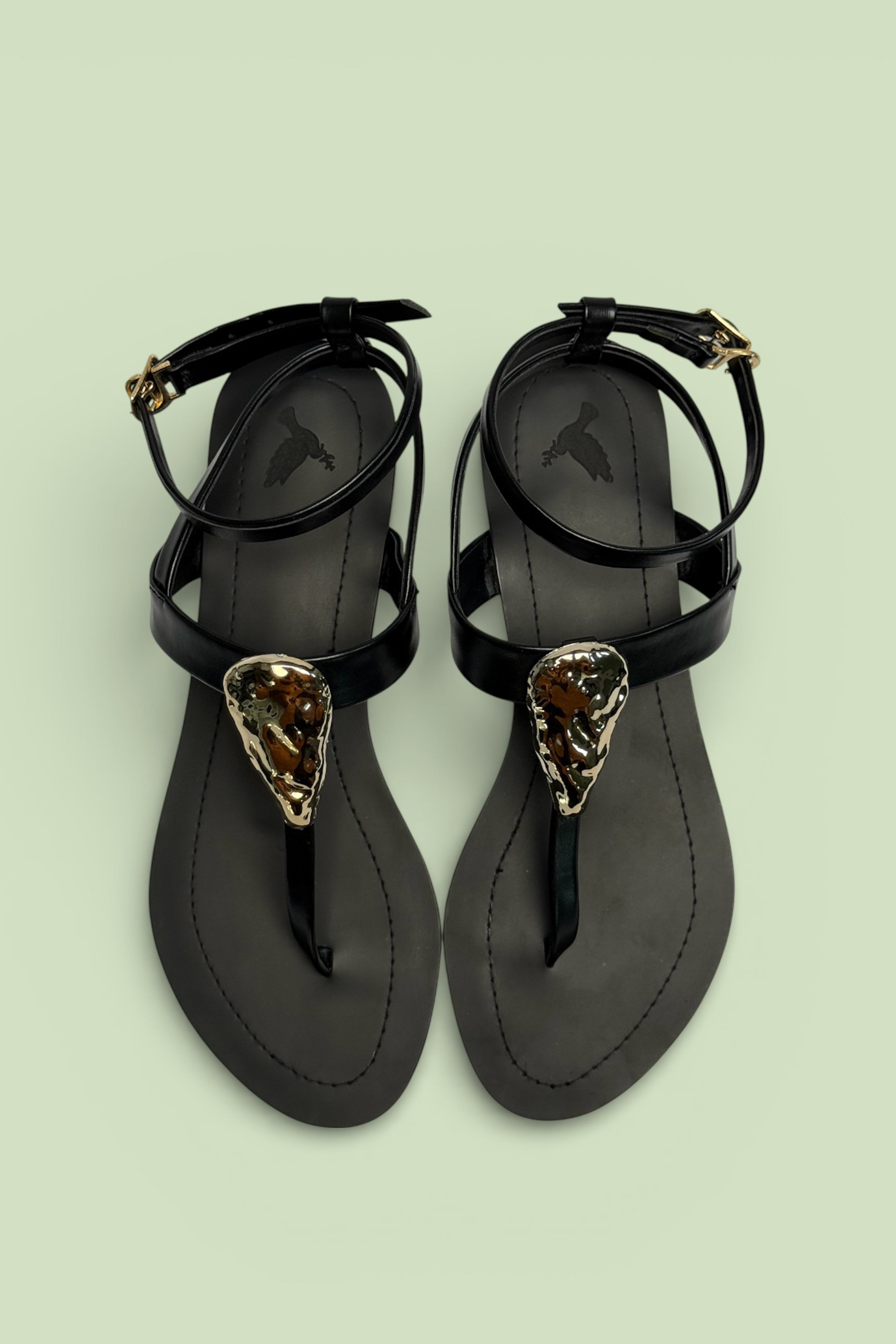 JUNE (ZBN 26007) EID DROP