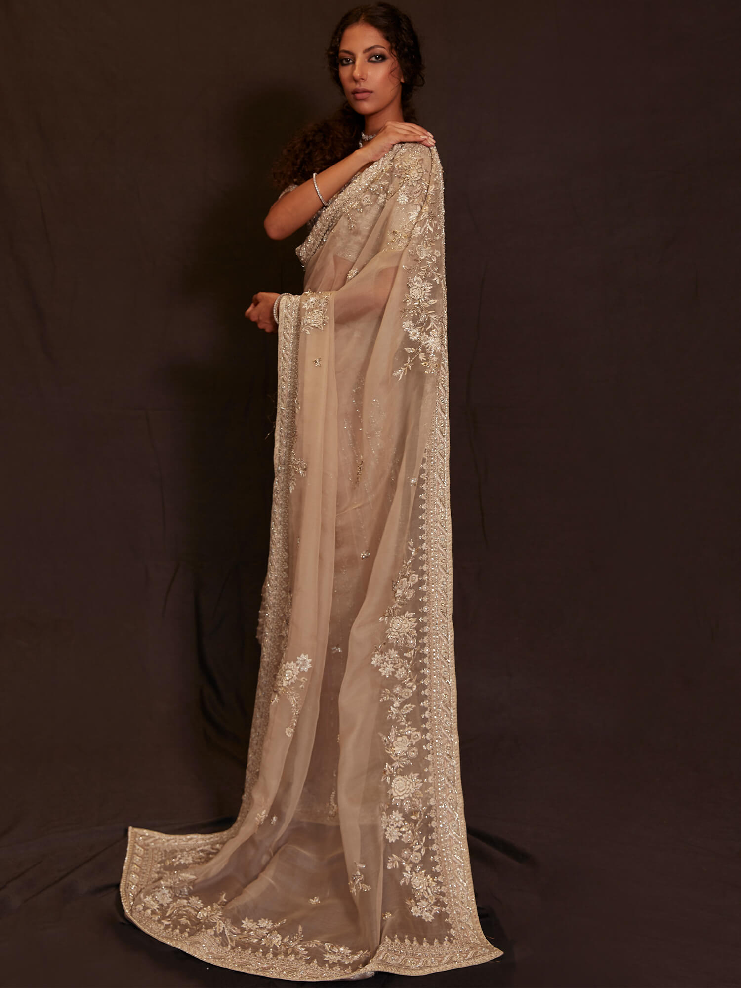 Blouse & Sari