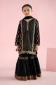 3 Piece Embroidered Karandi Suit