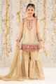 2 Piece Embroidered Organza Suit