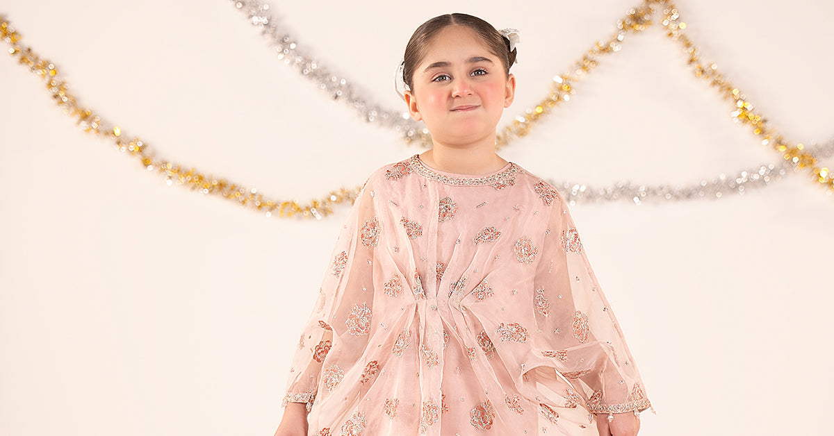 2 Piece Embroidered Organza Suit