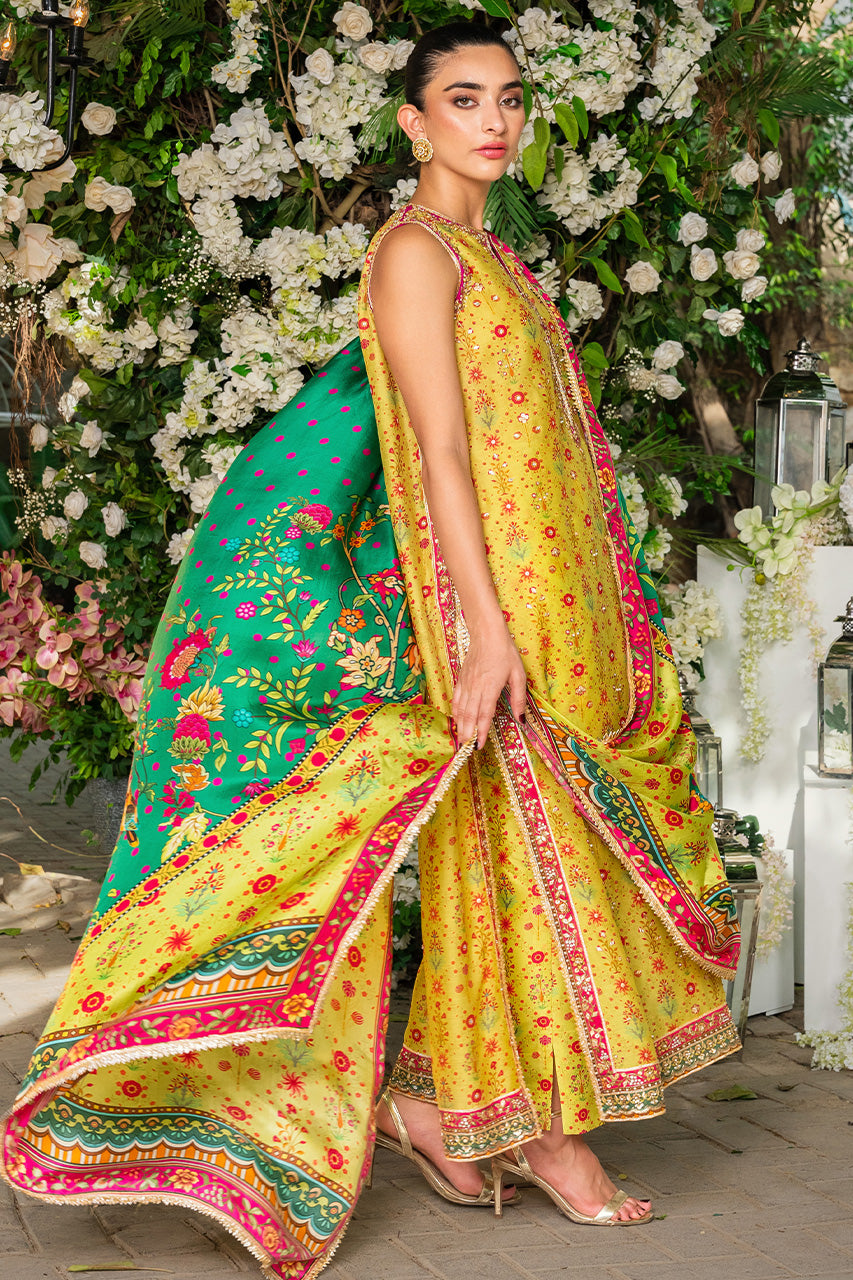 Rosa Bagh 22