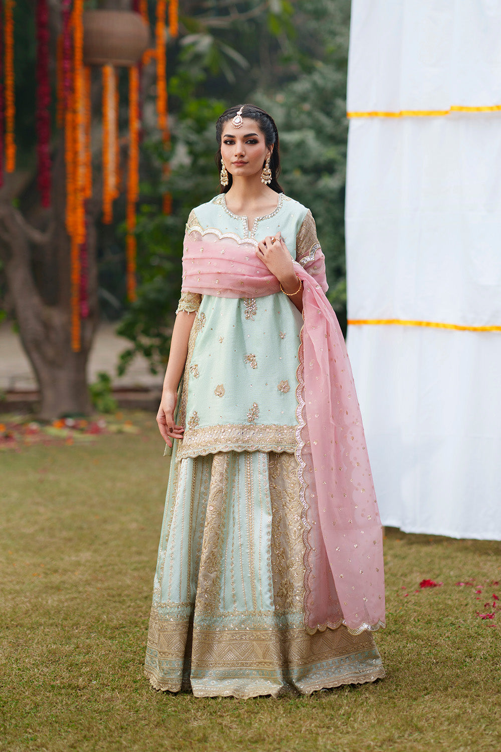PINK PISTACHIO - MWS5640