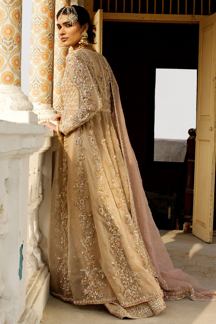 Nude Pink Kalidaar