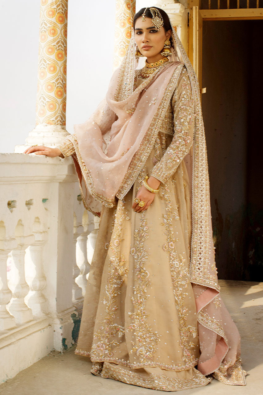 Nude Pink Kalidaar