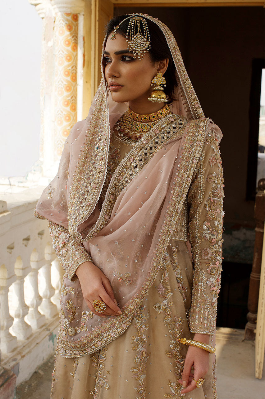 Nude Pink Kalidaar