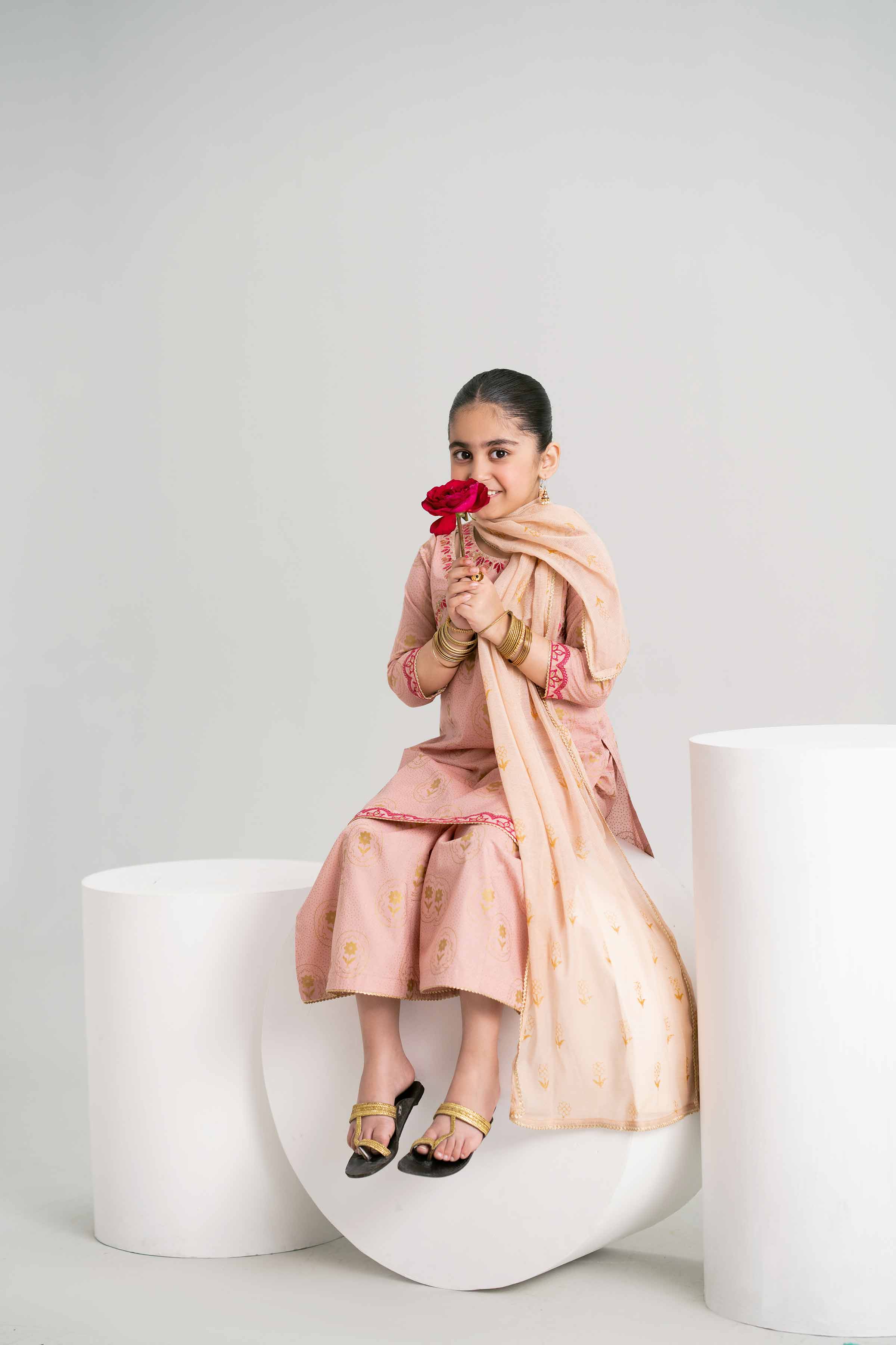 3 Piece - Printed Embroidered Suit - PMD25-05 D