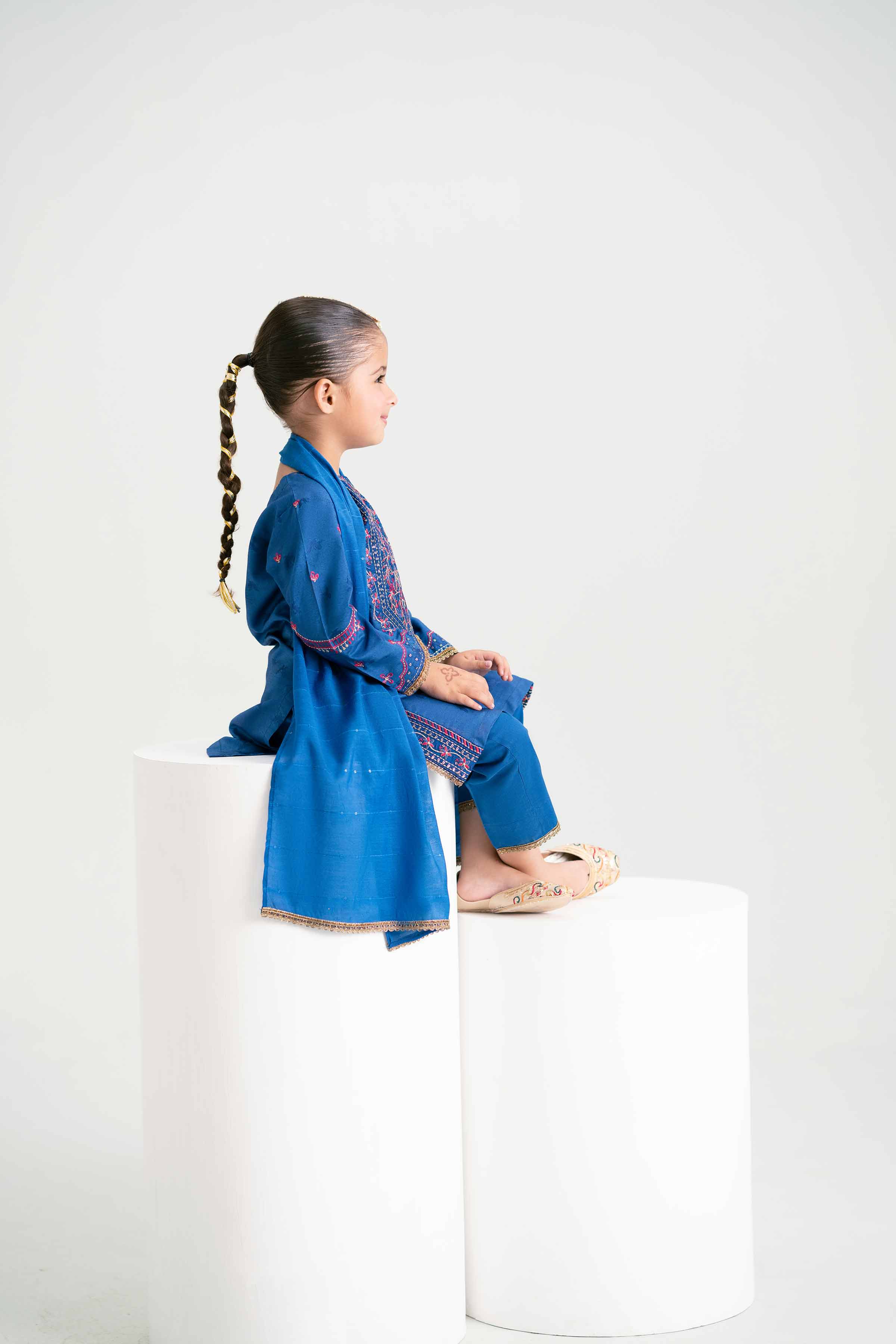 3 Piece - Embroidered Suit - PMD25-16 D